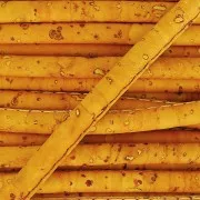 Cordone in sughero cucitura visibile 4 mm Senape x 50cm