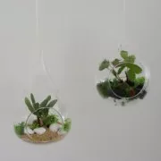 Ghiaia decorativa Bianco x725gr