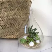 Pietre decorative 1 à 3 cm Bruno x1kg