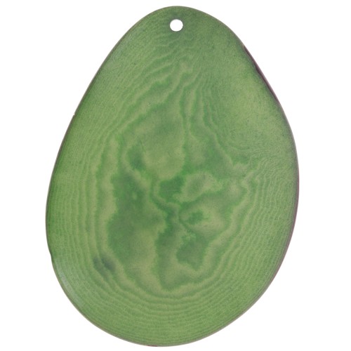 Fetta sottile di Tagua 35-45 mm Verde x1