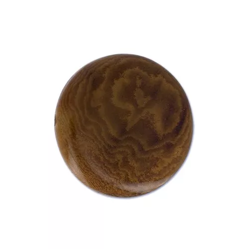Tagua 18 mm Marrone x 1