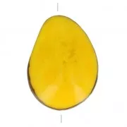 Seme di Tagua lavorato 35-50 mm Giallo x 1