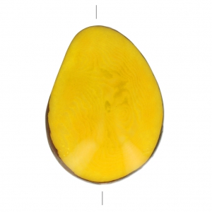 Seme di Tagua lavorato 35-50 mm Giallo x 1