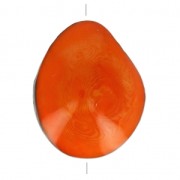 Seme di Tagua lavorato 35-50 mm Arancione x 1