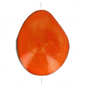 Seme di Tagua lavorato 35-50 mm Arancione x 1