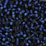 Miyuki Delica Duracoat 11/0 DB2191 - Dyed Navy Silver Lined x8g
