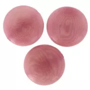 Dischi Tagua 13 mm - Rosa x 4