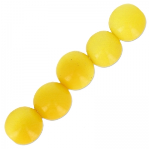 Perle di Tagua 5 mm Giallo x 8