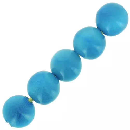Perle di Tagua 5 mm Turchese x 8