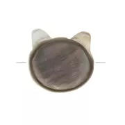 Perla testa di gatto Madreperla 10 mm Black Iris x1