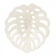 Pendente madreperla foglio di filodendro  33x31.5 mm Naturale x1