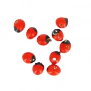 Graines huaeruro dell'America del Sud 6 mm Naturel x 10|raw }}