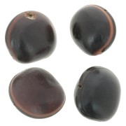 Semi di ojo de buey sudamericano 30 mm Naturale x 1