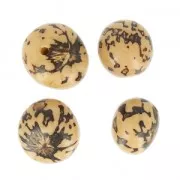 Semi pambil marmol dell'America del Sud 20 mm Naturale x 4