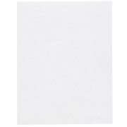 Lacy's Stiff Stuff - cm. 21.6x28|raw }}