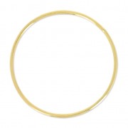 Anellini mm. 28 Gold filled x1