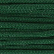 Filo di nylon europeo Griffin 0.5mm a 0.8mm Dark Green x25m