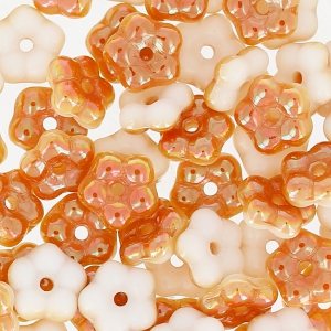 Fiori intercalari Forget-me-not 5 mm Opaque White Apricot x50