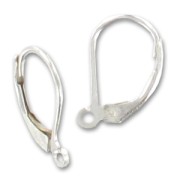 Orecchini con ganci chiusi in Argento 925 x2