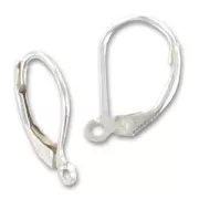 Orecchini con ganci chiusi in Argento 925 x2