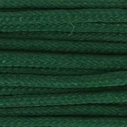 Filo di nylon europeo Griffin0.3mm a 0.5mm Dark Green x25m