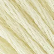 Filo da ricamo DMC Mouliné Spécial 117 MC Ecru (ECRU) x8m