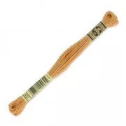 Filo da ricamo DMC Mouliné Spécial 117 MC Ocra (437) x8m