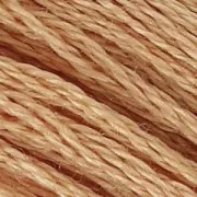 Filo da ricamo DMC Mouliné Spécial 117 MC Ocra (437) x8m