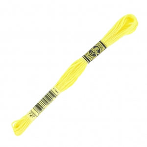 Filo da ricamo DMC Mouliné Spécial 117 MC Giglio (727) x8m