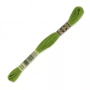 Filo da ricamo DMC Mouliné Spécial 117 MC Kaki (470) x8m