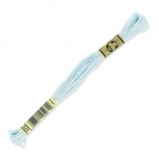 Filo da ricamo DMC Mouliné Spécial 117 MC Bleu Ciel (828) x8m|raw }}