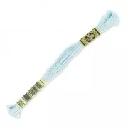 Filo da ricamo DMC Mouliné Spécial 117 MC Bleu Ciel (828) x8m