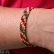 Filo da ricamo DMC Mouliné Spécial 117 MC Siam (498) x8m