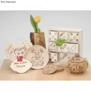 Pirografo per decorare legno, cuoio e sughero + 9 punte