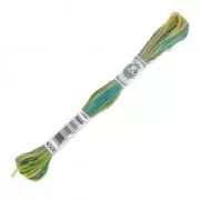 Filo da ricamo DMC Mouliné Primavera (4506) x8m