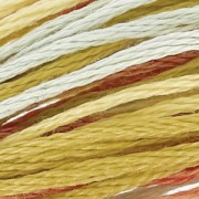 Filo da ricamo DMC Mouliné Coloris Campagna gelata (4508) x8m