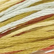 Filo da ricamo DMC Mouliné Coloris Campagna gelata (4508) x8m