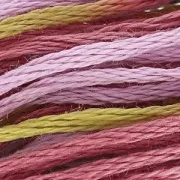 Filo da ricamo DMC Mouliné Costa di granito (4509) x8m