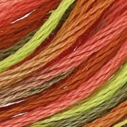 Filo da ricamo DMC Mouliné Acero (4510) x8m