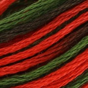 Filo da ricamo DMC Mouliné Colorise Estate Indiana (4511) x8m