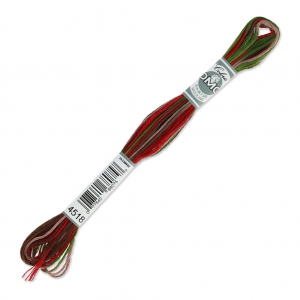 Filo da ricamo DMC Mouliné Cottage (4518) x8m