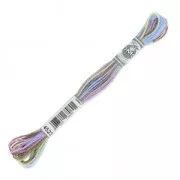 Filo da ricamo DMC Mouliné Vento del Nord (4523) x8m