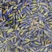 Fiori di lavanda essiccati per sapone x4g|raw }}