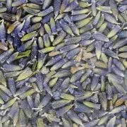 Fiori di lavanda essiccati per sapone x4g