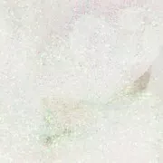 Paillettes cosmetiche per la creazione diy di bath bomb/saponi Cry. AB x1g