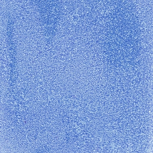 Perles de jojoba esfolianti per la creazione diy di bath bomb/saponi x5g