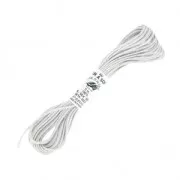 Filo da ricamo Seta d'Alger Grigio chiaro (3441) x5m