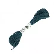 Filo da ricamo Seta d'Alger Dark Petrolio (1736) x5m