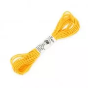 Filo da ricamo Seta d'Alger Sunflower (2524) x5m