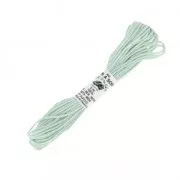 Filo da ricamo Seta d'Alger Verde acqua (5381) x5m